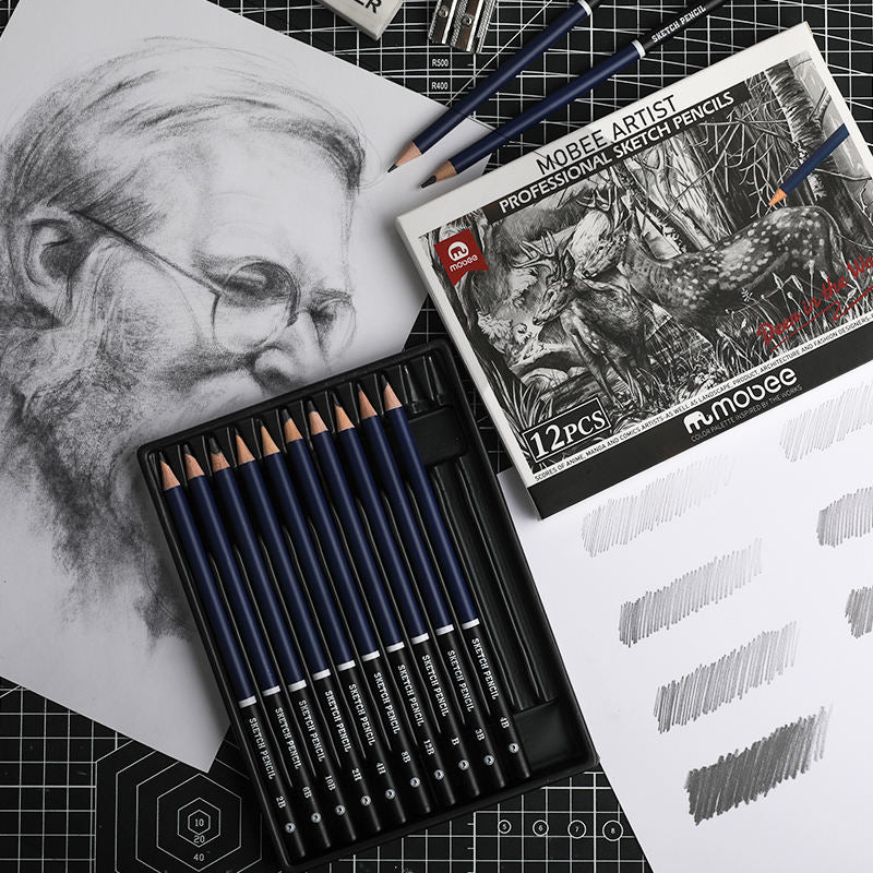 Sketch Pencils 12 Pcs Professional Black 2B HB